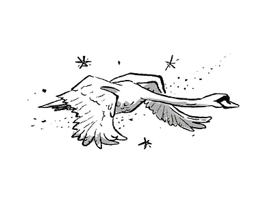 Deneb_the swan beer design editorial illustration kidboook label procreate