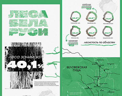 Infographic | Forests of Belarus data design digital ecology forest graphic design infographic social