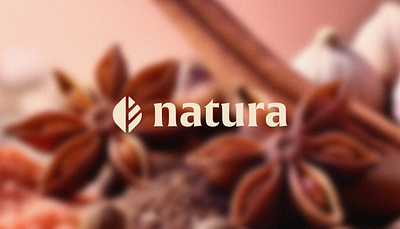 Natura Logo Design abstract logo ai logo beauty logo bold logo branding clever elegant logo leaf logo life style logo logo luxury logo minimal nature logo oink logo plant logo premium logo skin care logo tech logo typeface women logo