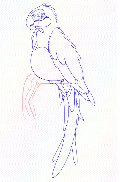 Brazilian Macaw - Sketch 2d art animal graphic design illustration