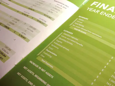 Making Financial Data Pretty annual report data financials green print design