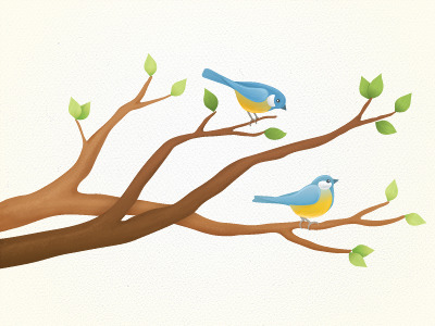 Birds birds cute illustration