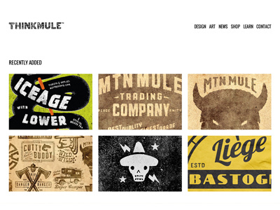 THINKMULE™ Site update colorado design thinkmule