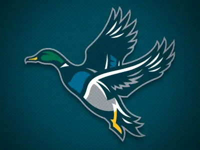 Anaheim Ducks Concept Alt anaheim concept ducks hockey logo sports