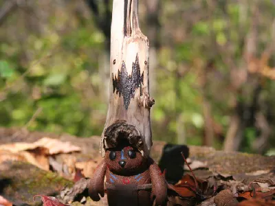 Yoka the Forest Gaurdian art toy bear change character design fuzzy glow hope resolution spiritual toy tribal