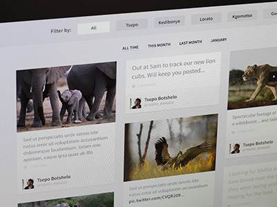 Ranger & Guest Diaries africa design filter listing luxury molori safari sort source sans pro tweets website