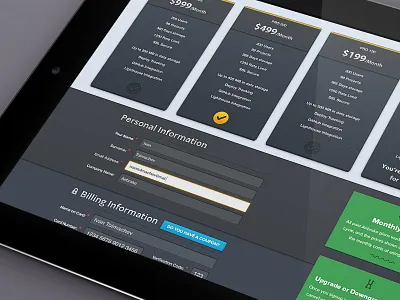 Airbrake's Billing Page billing box check credit card email error fill finance form information out price pricing rackspace table ui upgrade