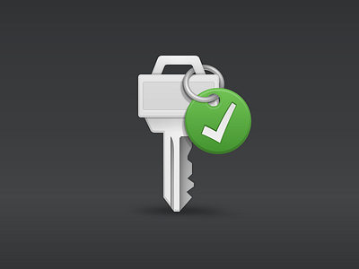 Saved Password icon key password tag