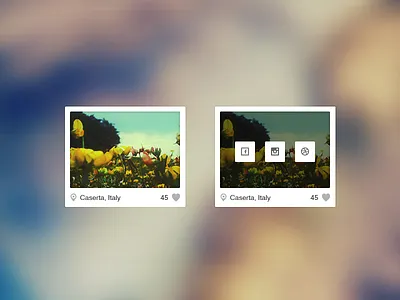 Image showcase caserta ferrone image italy rebound show showcase