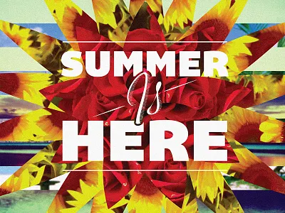 Summer Is Here colour design flowers graphics here is summer type