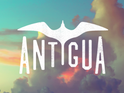 Island ID antigua bird frigate id logo type