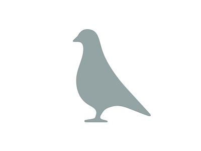 Minimalistic pigeon bird fly minimalistic pigeon