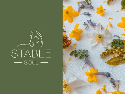 Stable Soul brand design branding design graphic design logo design website design