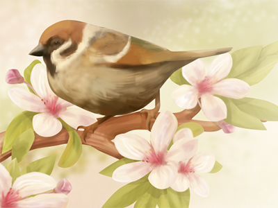 Spring bird bird blossom branch flowers leaf leaves spring