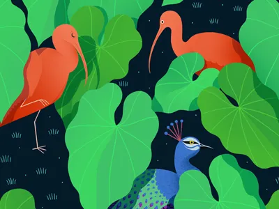 Jungle Birds Pattern birds ibis jungle pattern peacock texture wallpaper