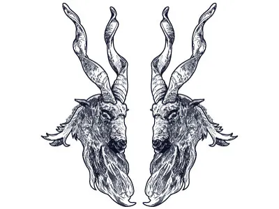 Markhors goat horn illustration markhor vector