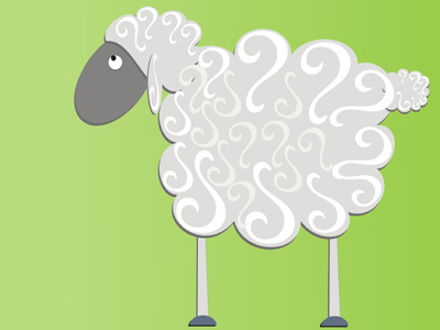 Mee interrogation sheep
