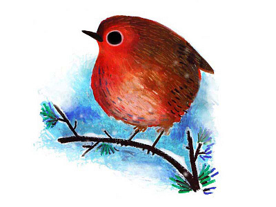 Winter Bird bird drawing illustration pastel