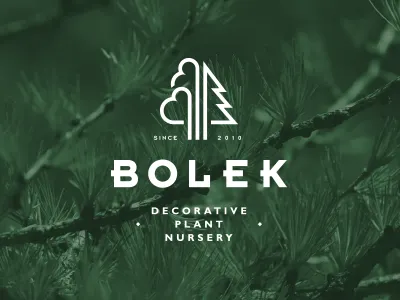 Bolek — decorative plant nursery decorative garden leaf nursery plant trees