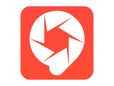 Picnamic Icon 3 android app icon ios photo private share