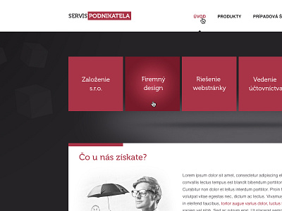 Servis podnikatela cube logo logotype web