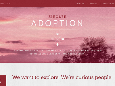 Adoption Blog adoption photography web design