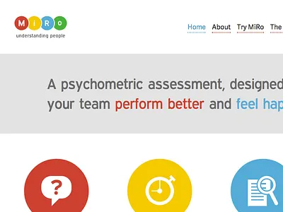 MiRo Assessment colour icons miro assessment web design