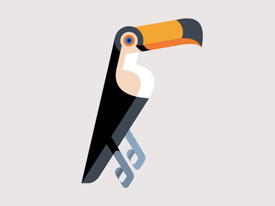 Toco Toucan WIP artwork brill design illustration josh lumadessa print toco toucan wip