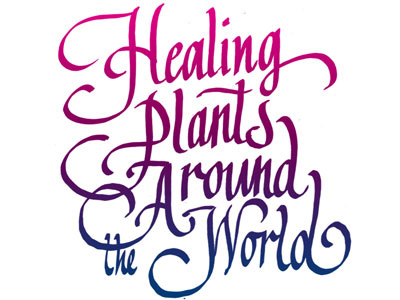 Healing Plants calligraphy lettering spotco typography