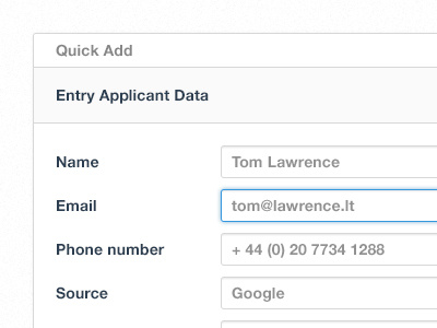 Applicant Data Form data form minimal ui user interface design web design