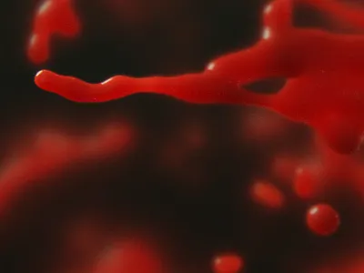 Blood 3d fluid modo photorealistic realflow render simulation sss