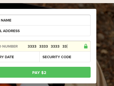 Payment button form interface pay secure