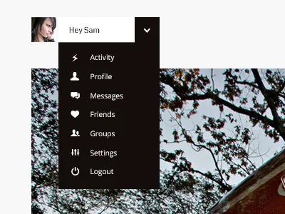 Nav Snippet black dropdown nav profile