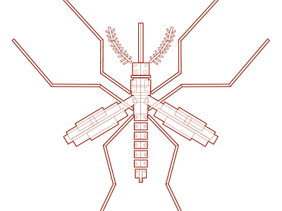 Mosquito illustrator technical