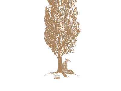 Foxtemplation fox illustration