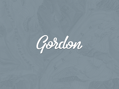 Gordon, personal branding. brand gordonjakob information design logo personal ui website