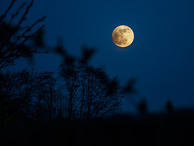 Moon Picture hdr moon photo photoshop