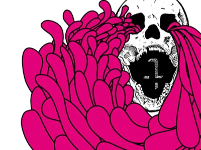 Worms Of The Senses / Faculties Of The Skull bold illustration pink skull t shirt