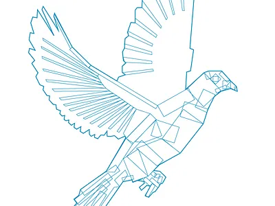 Dove illustration poster