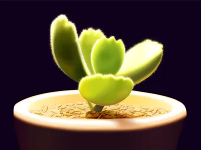 Follow the light icons