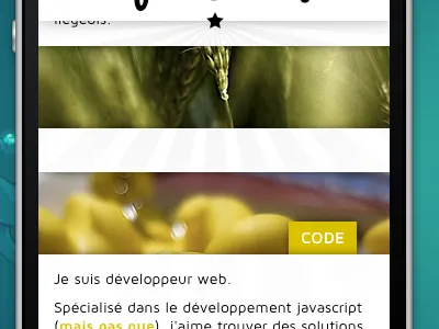 flatLand! responsive design design responsive website