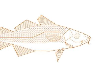 Cod cod illustration poster