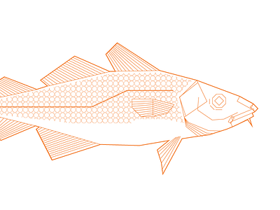 Cod cod illustration poster