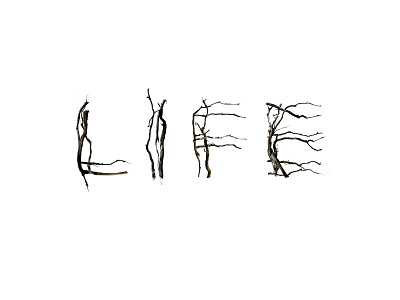 Isn't Fair branches composition life sticks type typography
