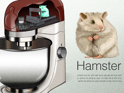 Hamster animals hamster illustration kmix mixer navot porat