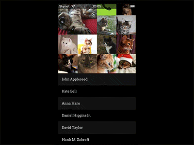 Friendslist iphone ui