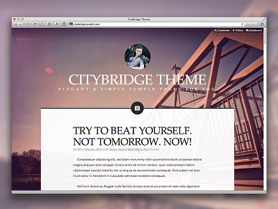 CityBridge! big blog blogging elegant photo simple template theme tumblr web webdesign website