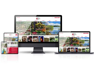 Visit Tyler Website design ui ux web design website wordpress