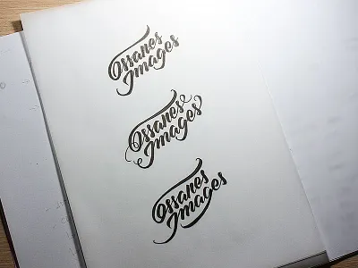 Sketches for a logo – 2nd round brand brush pen calligraphy handwritten lettering logo script logo typography