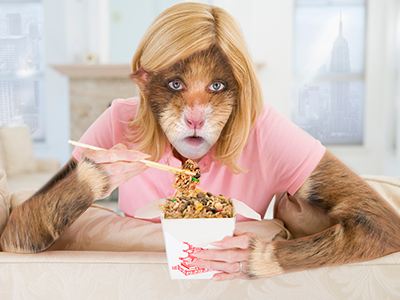 Mealtime hamster mashup